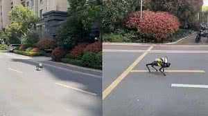 Foto: Reprodução/Redes Sociais