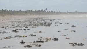 Manchas de óleo na praia de Feliz Deserto, em Alagoas. no dia 21 de outubro | Raquel Grison/Laboratório de Morfologia Sistemática e Ecologia de Aves do Museu de História Natural da Ufal