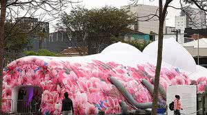 Foto: Reprodução/Agência Brasil