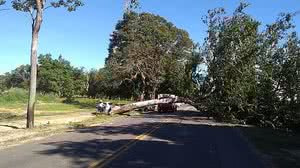 Marcos Teixeira/TV Clube