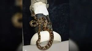 Arquivo Pessoal / Dilson Martins