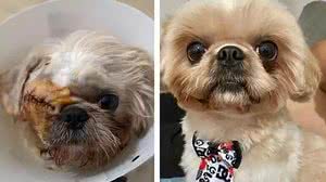 O caso aconteceu em Ipatinga, no Leste de Minas Gerais | Foto: Divulgação/Arquivo Pessoal