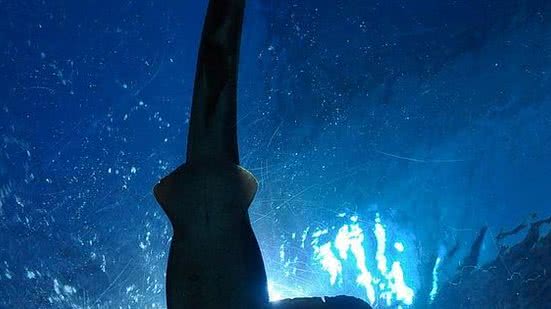 A droga está presente em altos níveis de concentração nos músculos e no fígado | Public Domain Pictures/Pexels