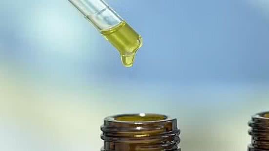 Anvisa autoriza medicamentos à base de Cannabis para animais | Reprodução