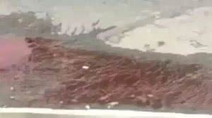 Foto: Reprodução/Redes Sociais