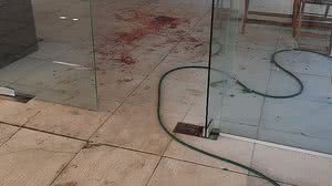 José Coelho / Whatsapp