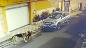 Reprodução / Vídeo