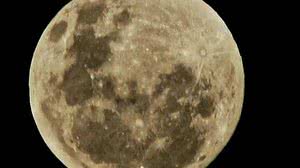 Foto: Reprodução/Gabriel Bassi