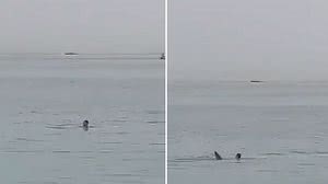 Reprodução / Twitter