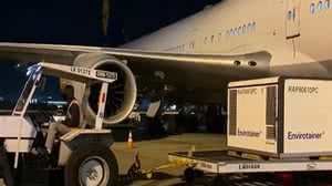 Foto: Divulgação / Butantan