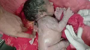 Foto: Reprodução/Facebook