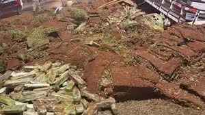 Foto: Divulgação/PM-MG