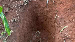 Polícia Civil/Divulgação