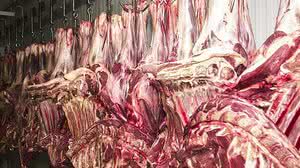 Marcello Casal Jr/Agência Brasil