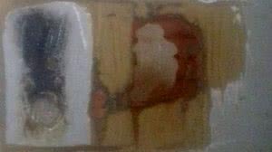 Reprodução/Ascom PC-AL