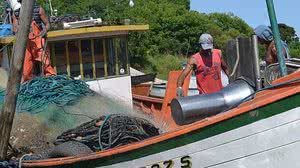 Janine Tomberg / Prefeitura de Pelotas