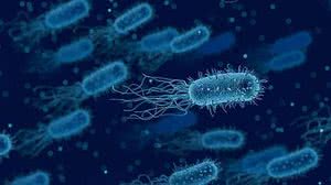 Foto: Reprodução/Pixabay