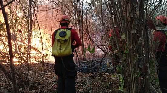 Reprodução Internet / CPRH