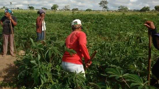 Divulgação/Correio 24 horas