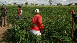 Divulgação/Correio 24 horas