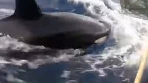 Imagem ilustrativa | Reprodução