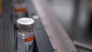 Divulgação / Instituto Butantan