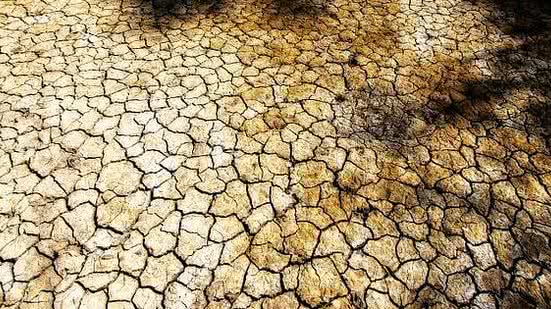 Secas intensas no Nordeste prejudicam o povo não só diretamente, mas também por meio da morte de gado e destruição de lavouras. | Musse Jereissati/Pixabay