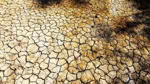 Secas intensas no Nordeste prejudicam o povo não só diretamente, mas também por meio da morte de gado e destruição de lavouras. | Musse Jereissati/Pixabay