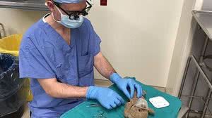 Daniel McNeely postou a foto nas redes sociais | Reprodução / Redes Sociais