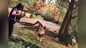 Reprodução / Redes sociais