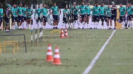 Reprodução / Twitter @Palmeiras