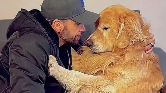 Joca morreu no último mes após voo | Reprodução/Redes Sociais