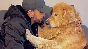 Joca morreu no último mes após voo | Reprodução/Redes Sociais