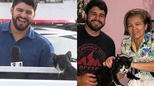Imagem Tia de repórter adota gato que invadiu gravação e viralizou nesta semana