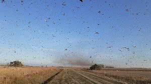 Foto: Governo Córdova