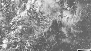 Divulgação / Semarh