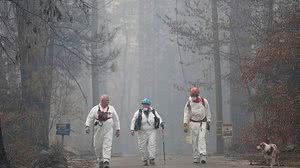 Terray Sylvester/Reuters