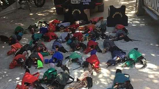 Divulgação/Polícia