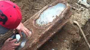 Reprodução/Garden of Innocence