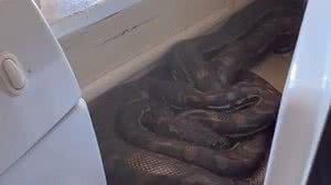 Foto: Reprodução/Facebook