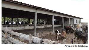 Superintendência Regional do Trabalho CE