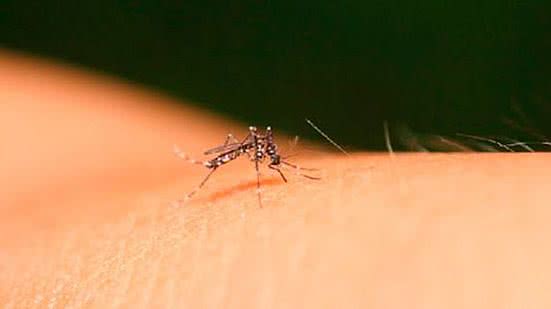 Foto: Reprodução/Pixabay