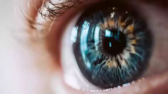 Foto: Reprodução/Freepik