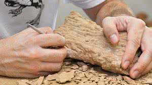 Valter Campanato/Agência Brasil