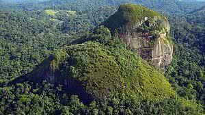 Vista aérea do Parque Nacional Montanhas do Tumucumaque, no Pará; buscas por helicóptero desaparecido continuam | Reprodução / Facebook