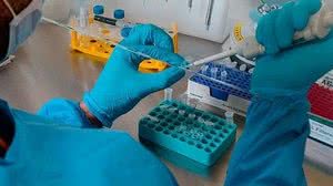 Reprodução/Instagram IEC BR