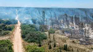 Foto: Prefeitura de Arraial do Cabo/Divulgação
