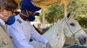 Arquivo / Instituto Vital Brazil