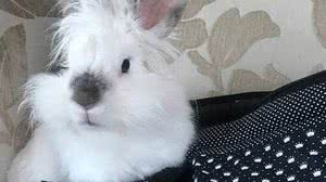 TJ-MG/Arquivo pessoal