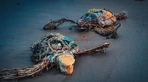 Rubem Filho / Cortesia